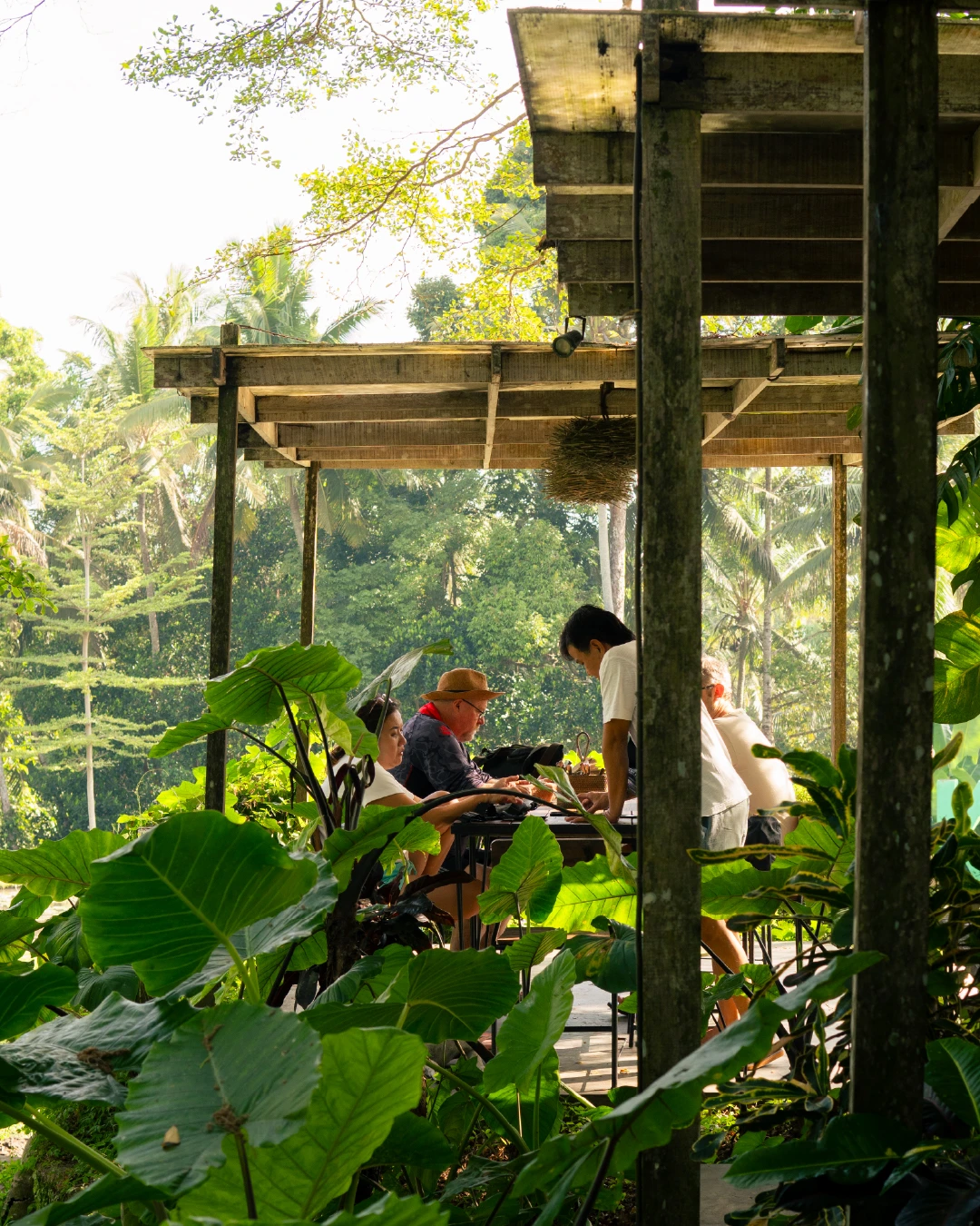 Guests under the pergola